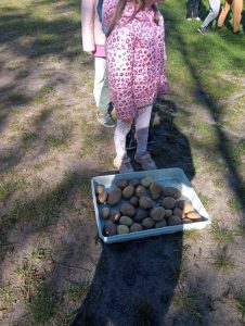 16f99aef-eced-4e6b-9714-a79eccaaae48