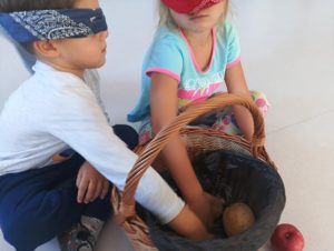 48dd8ad9-a644-4873-ae6a-60a5b533012b