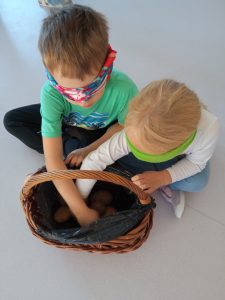 Co ziemniakiem nie jest.