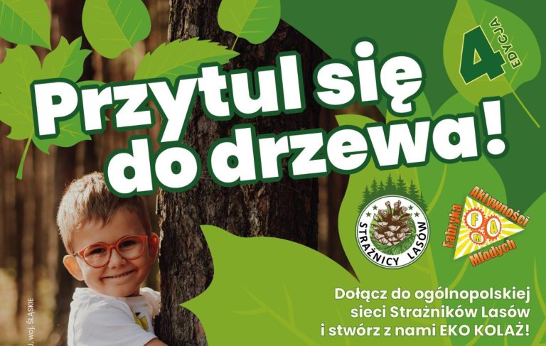 Akcja „Przytul się do drzewa” – finał