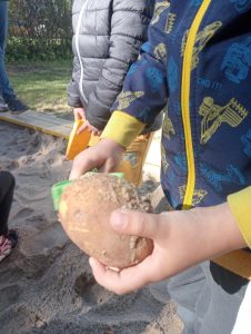 b5e46c8f-f011-4ab5-9bda-2d8a2ddc022d