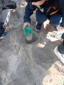 bc4c6197-b7b8-450a-9e79-0d389c278442